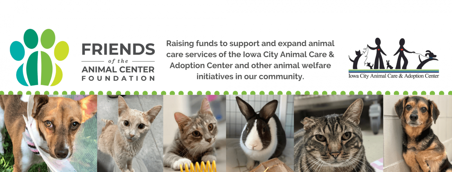 Join our Board of Directors » Friends of the Animal Center Foundation