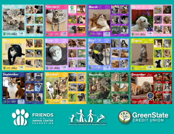 2025 Calendar, Paws for Effect - Image 3